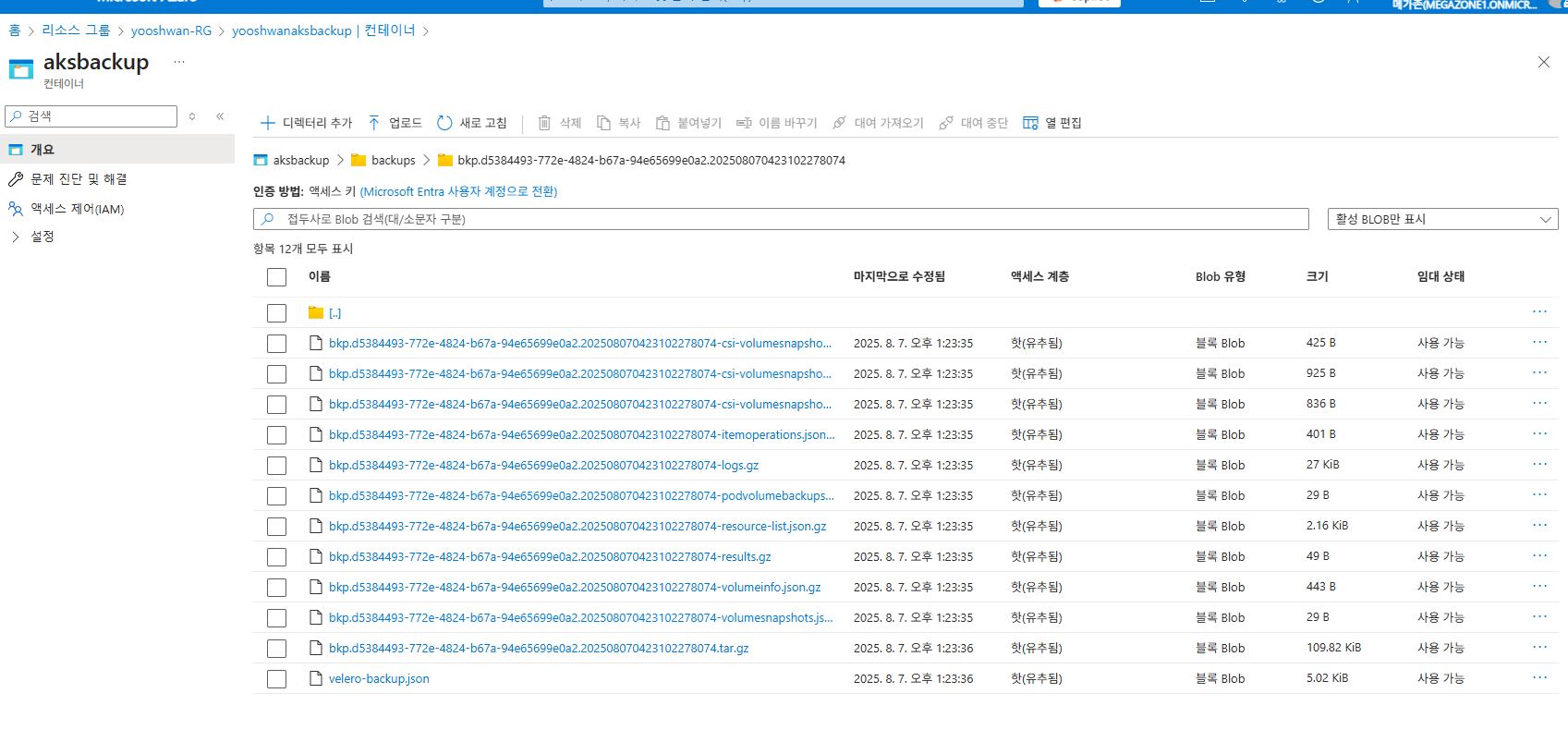 백업 완료 후 스토리지 계정에 생성된 백업 데이터